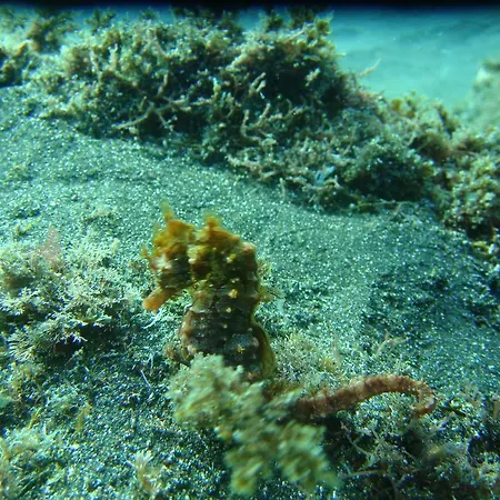 Quinta Da Ribeira Da Urze Εξοχικό σπίτι Prainha de Cima