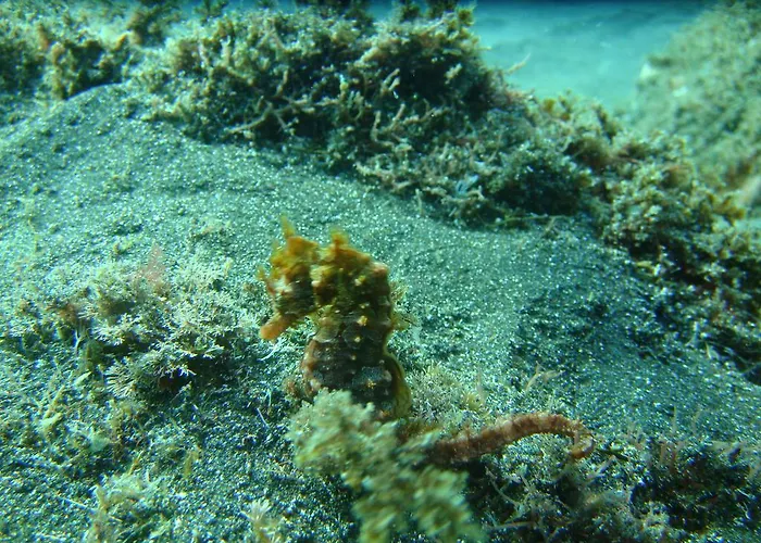 Quinta Da Ribeira Da Urze בית כפרי Prainha de Cima